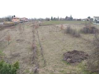 terreno agricolo