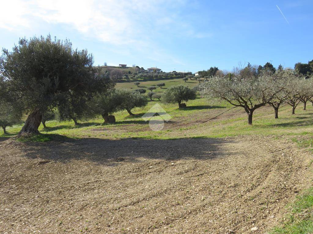 Terreno Agricolo con Rimessa