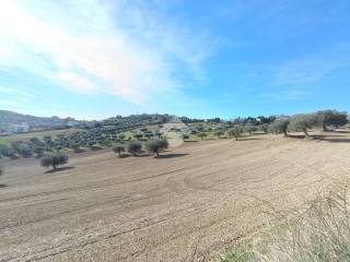 Terreno Agricolo con Rimessa