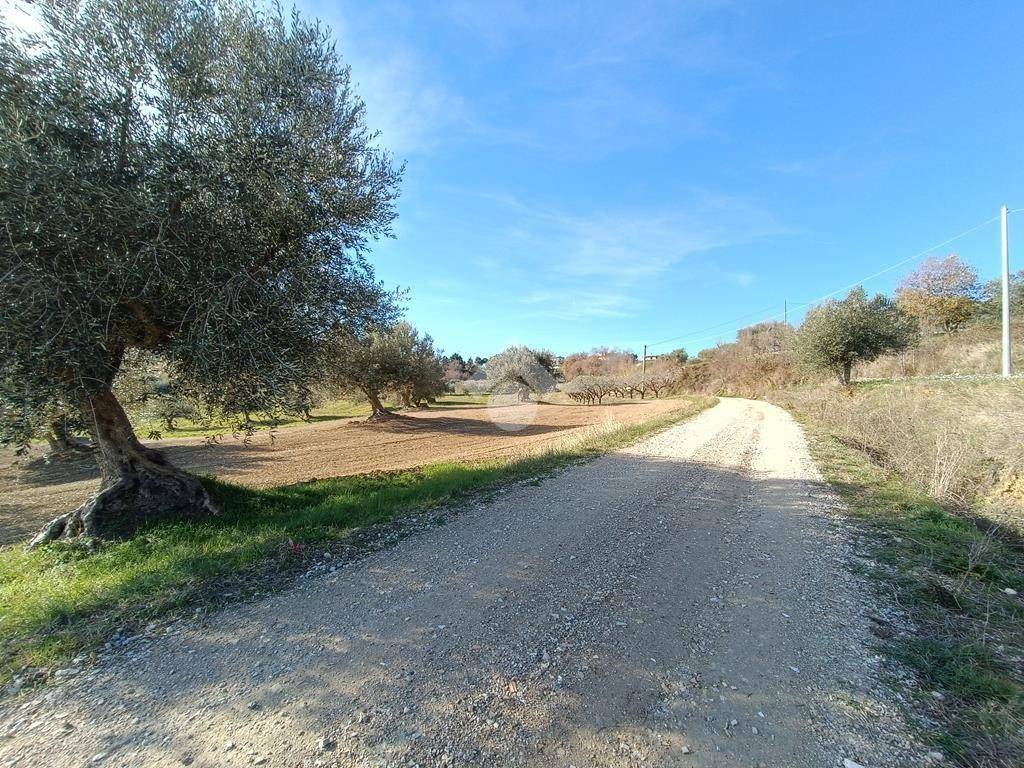 Terreno Agricolo con Rimessa