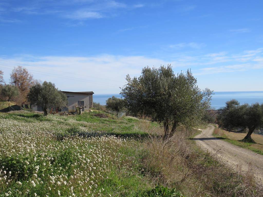 Terreno Agricolo con Rimessa