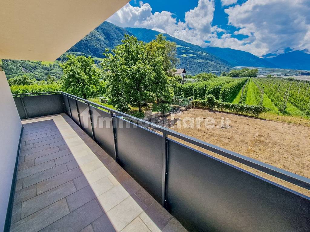 terrazza+vista