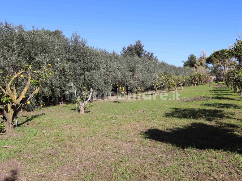 Terreno
