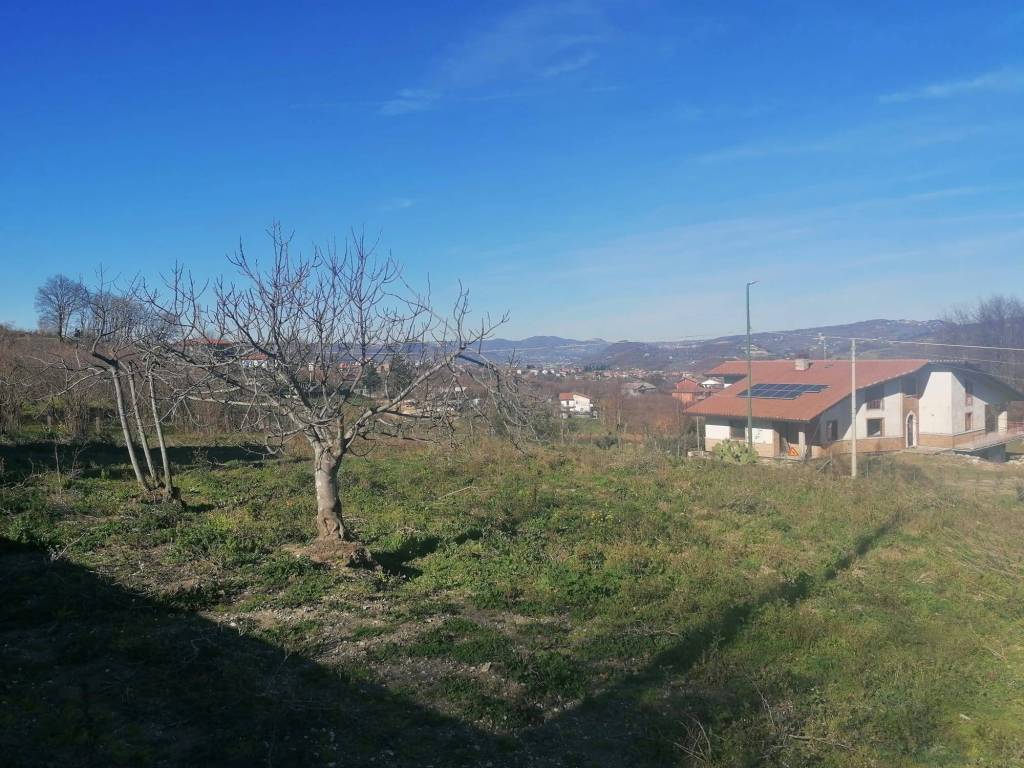 Terreno agricolo contrada coste 1, aiello del sabato