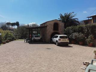 Zona