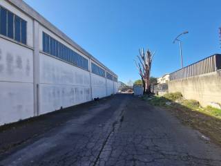 PARTICOLARIPARTICOLARI