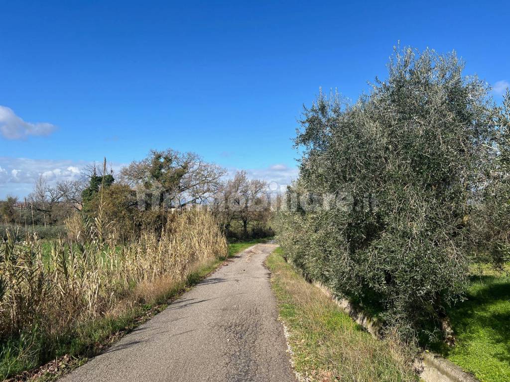 STRADA ASFALTATA VICINO AL TERRENO