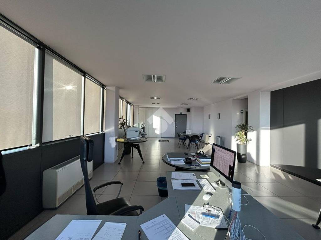 WhatsApp Image 2024-02-05 at 17.02.37 (1)