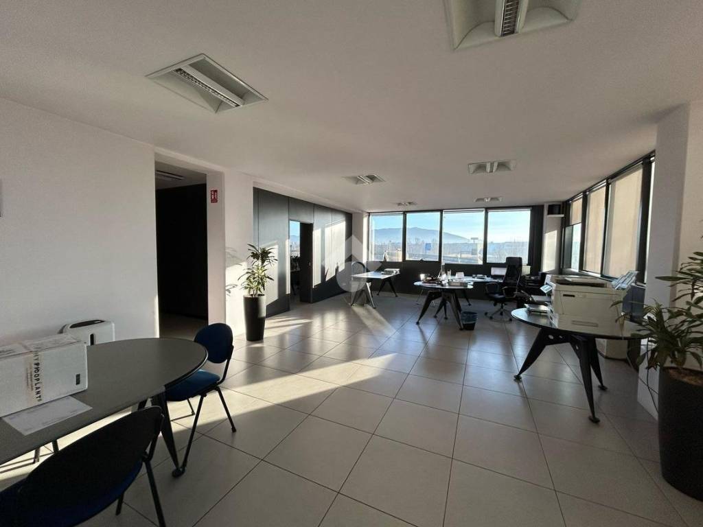 WhatsApp Image 2024-02-05 at 17.02.41 (3)