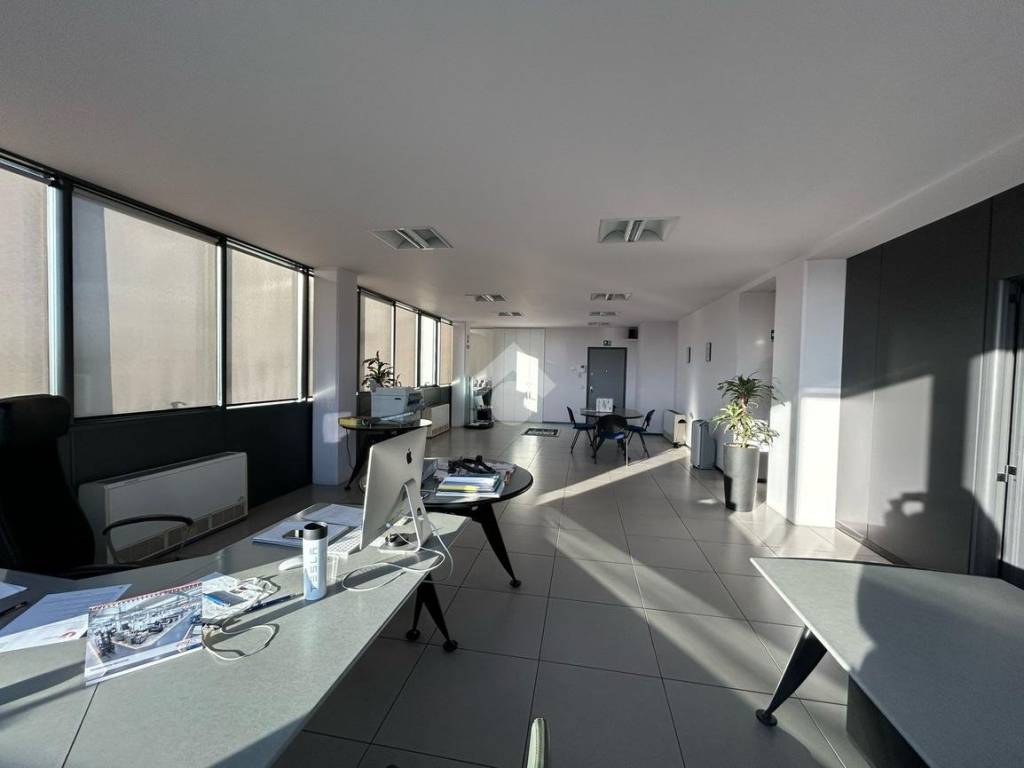 WhatsApp Image 2024-02-05 at 17.02.38 (2)