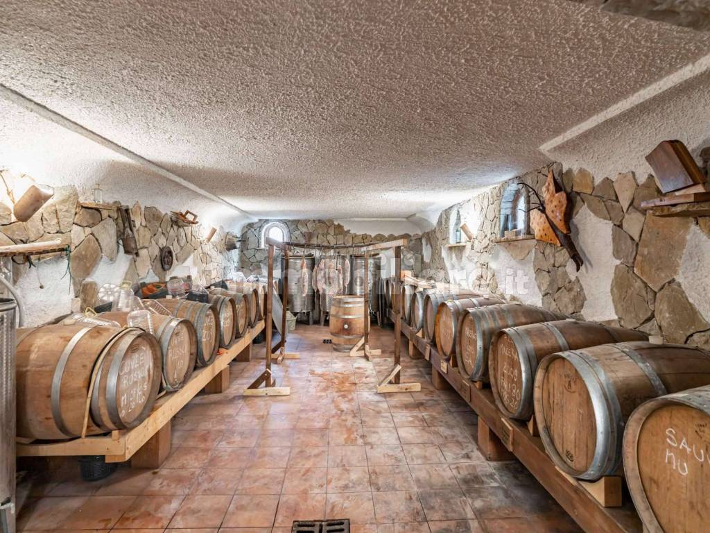 CANTINA VINI