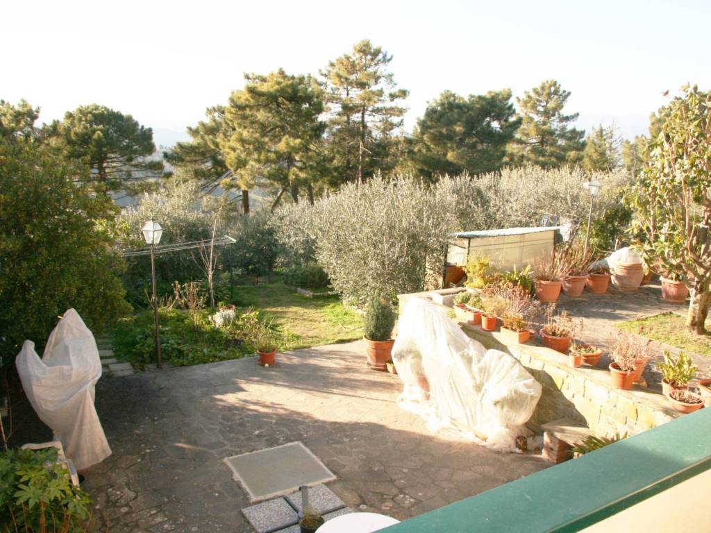 giardino