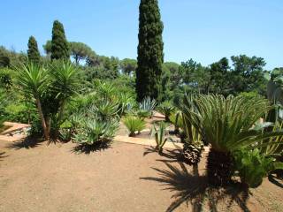 giardino interno