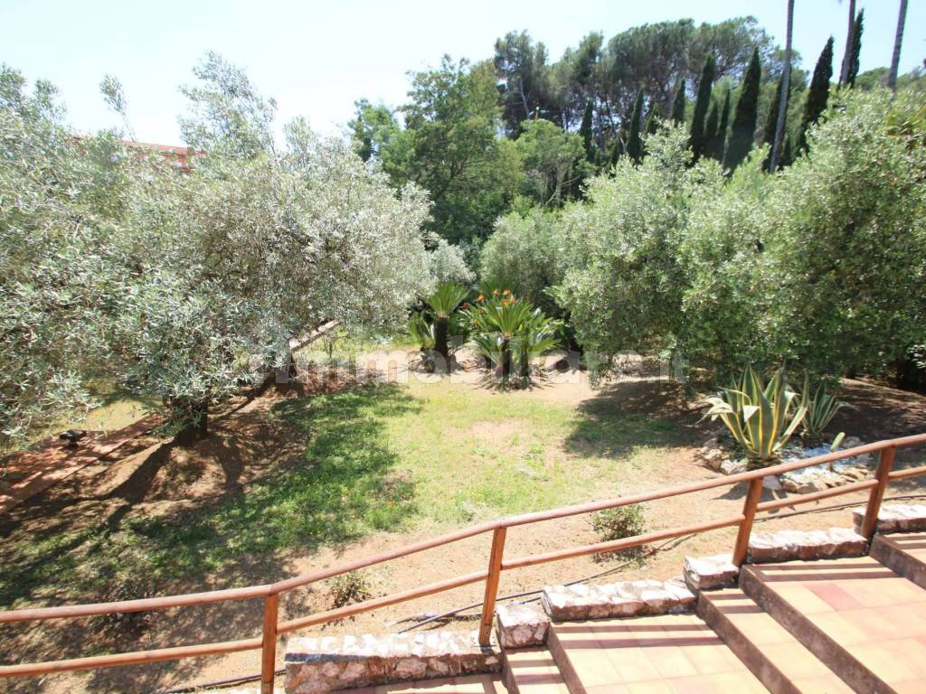 giardino