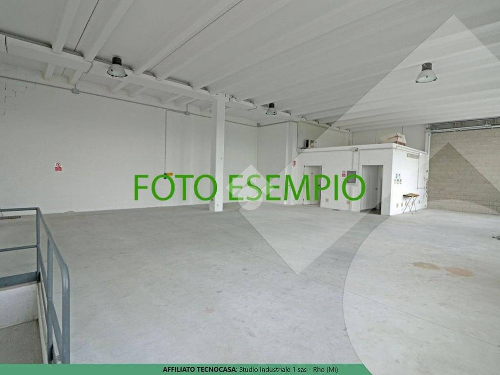 Foto Esempio