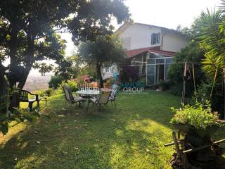 IMG_1250.jpeg