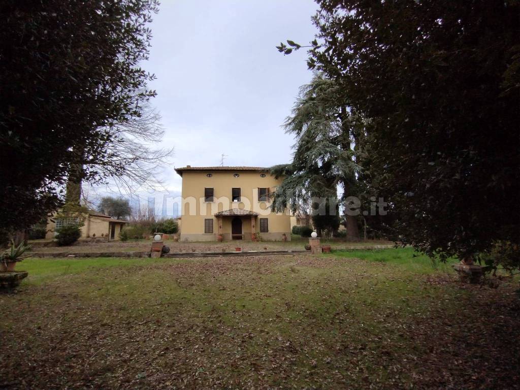 vista dal viale dei lecci