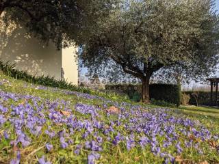 villa vendita crespano giardino panorama3a