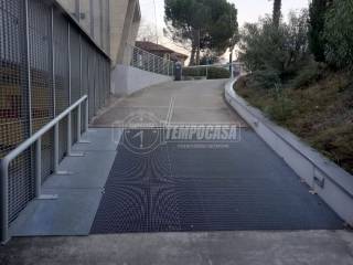 Zona