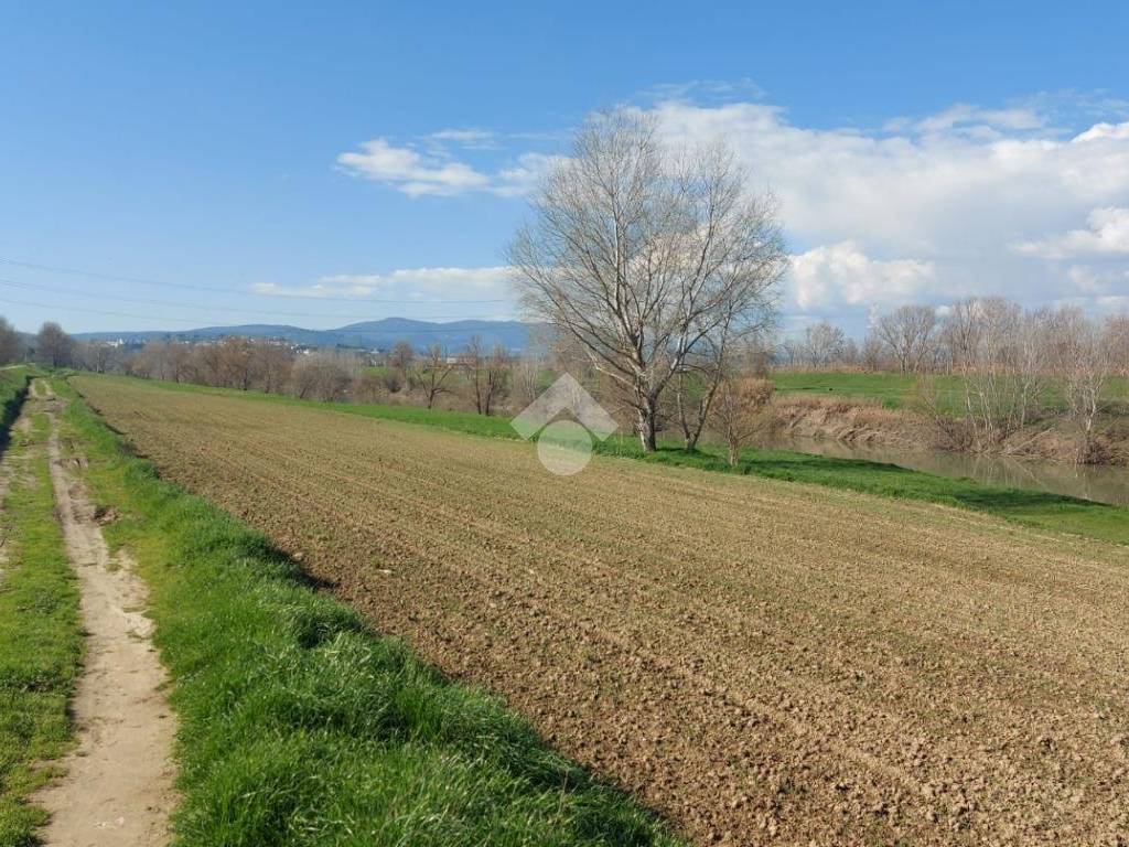 agricolo