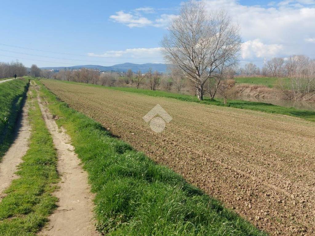 terreno agricolo