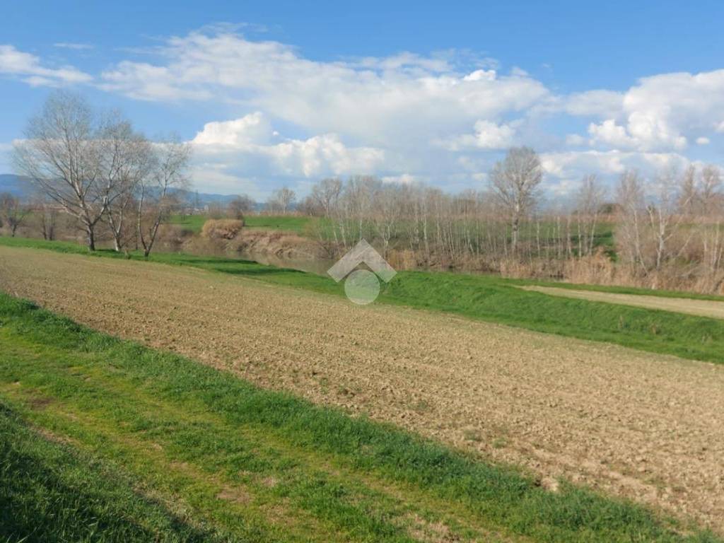 terreno agricolo