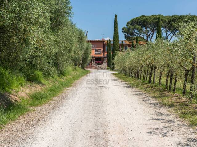 Azienda agrituristica a Montecarlo (12).jpg