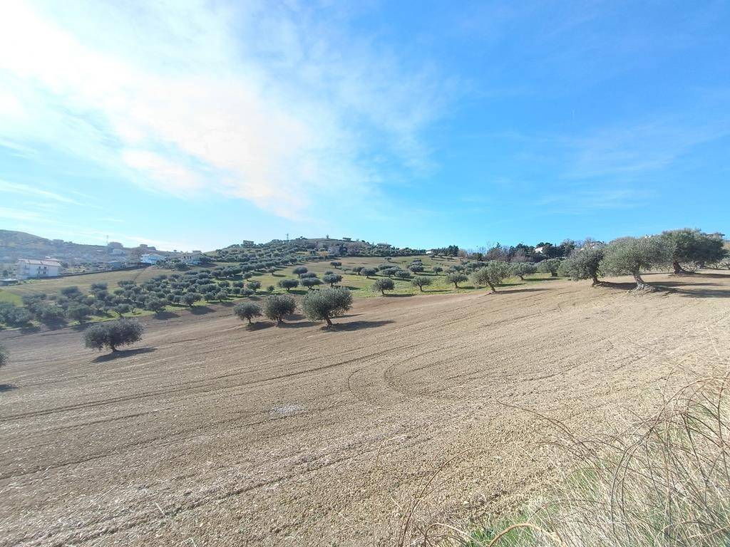 Terreno Agricolo con Rimessa