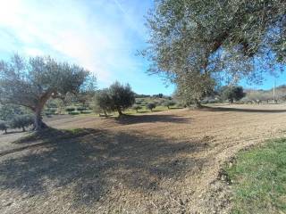 Terreno Agricolo con Rimessa