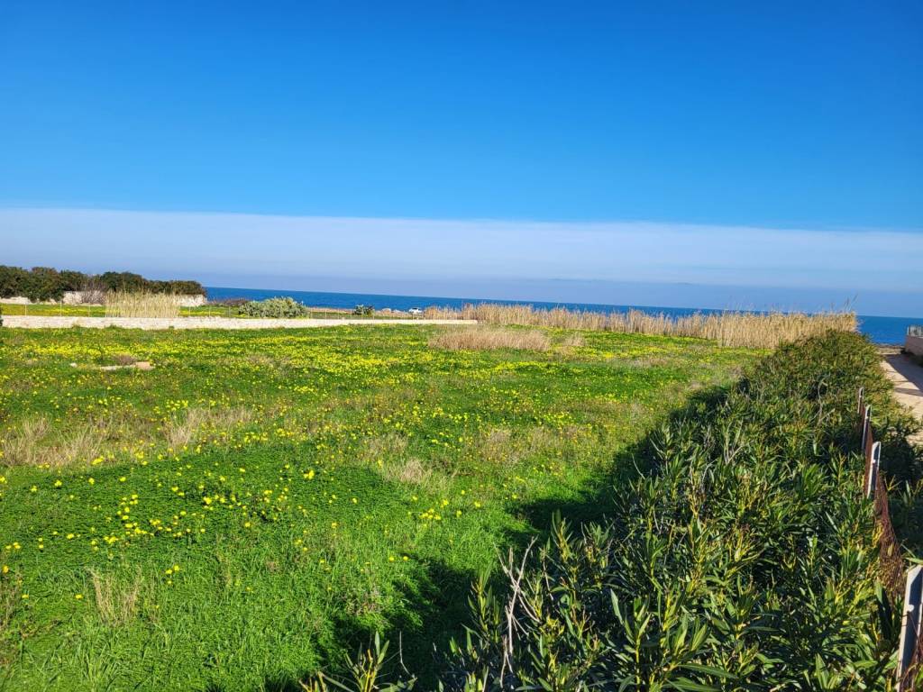 Terreno agricolo via maggiore pietro toselli, centro, polignano a mare
