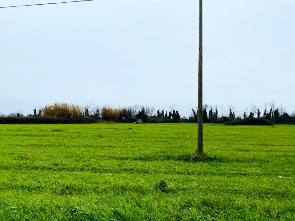 Terreno agricolo via ripuaria, varcaturo, giugliano in campania