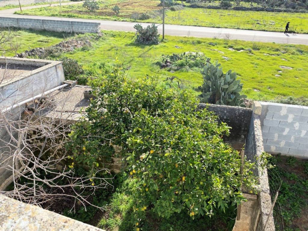 Giardino visto dall'alto