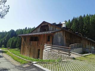 Foto - Vendita Attico / Mansarda con giardino, Dolomiti Bellunesi, Cortina d'Ampezzo