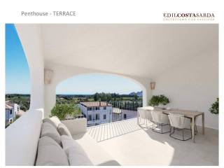 Terrace Penthouse