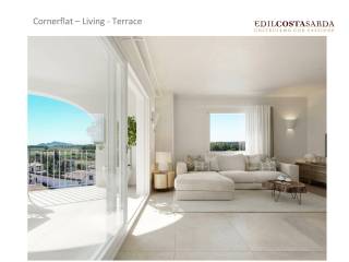 Living and Terrace