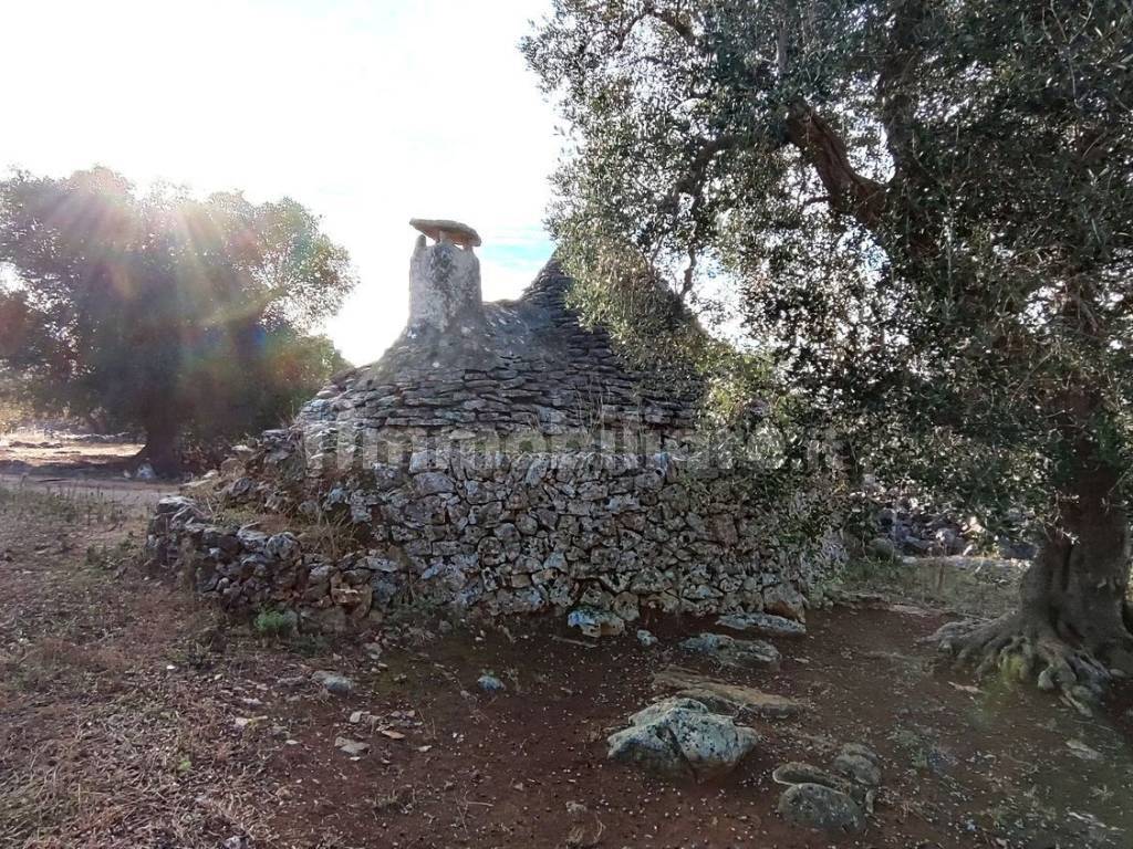 trulli con terreno