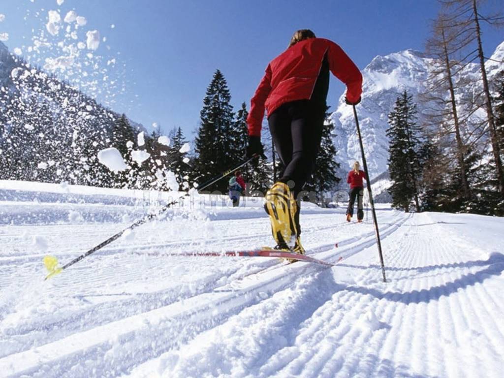 COURMAYEUR TRILOCALE IN CHALET VAL FERRET