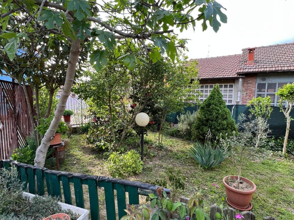 giardino