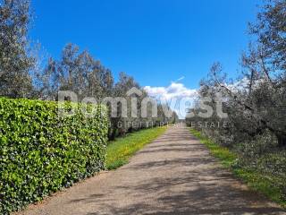 viale di accesso