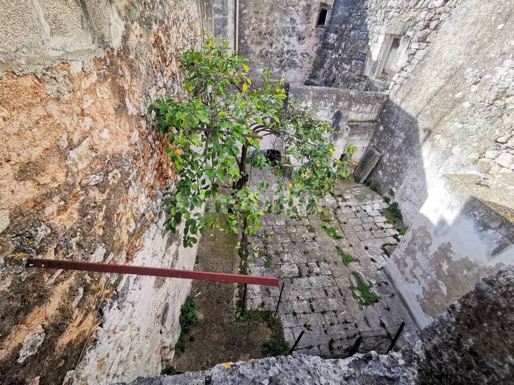 vista giardino