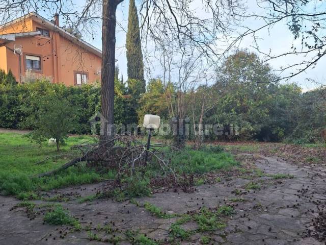 giardino