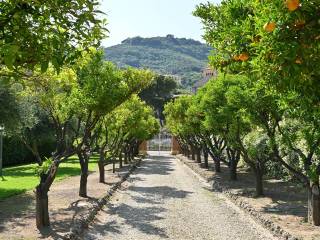 Viale di ingresso