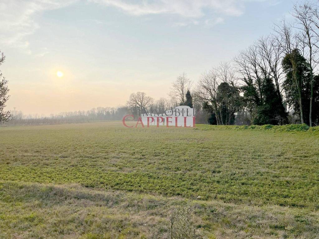 Terreno agricolo via cannuzzola, castiglione, villa inferno, montaletto, cervia