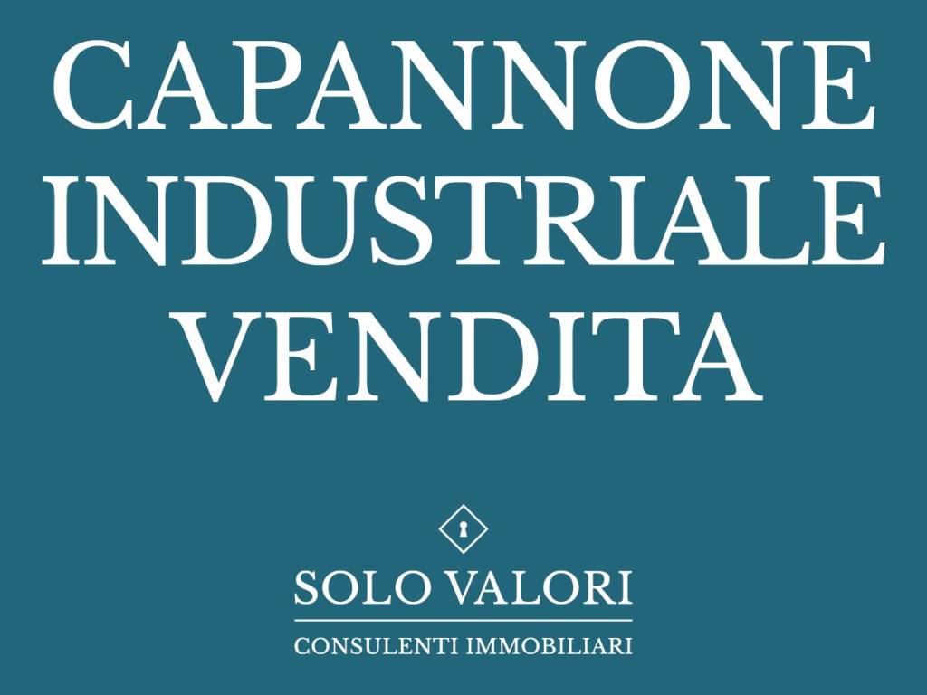 solo valori cartelli web def11