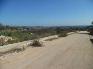 Zona
