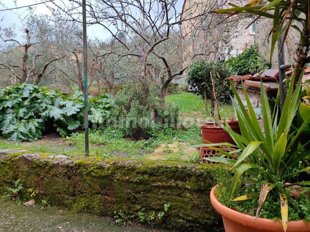 giardino