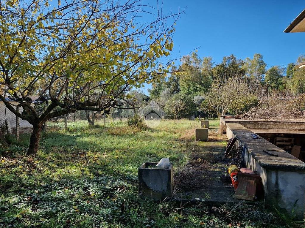 Vista giardino retro