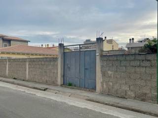 Zona