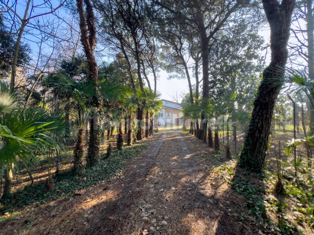 villa singola correzzola parco giardino  3