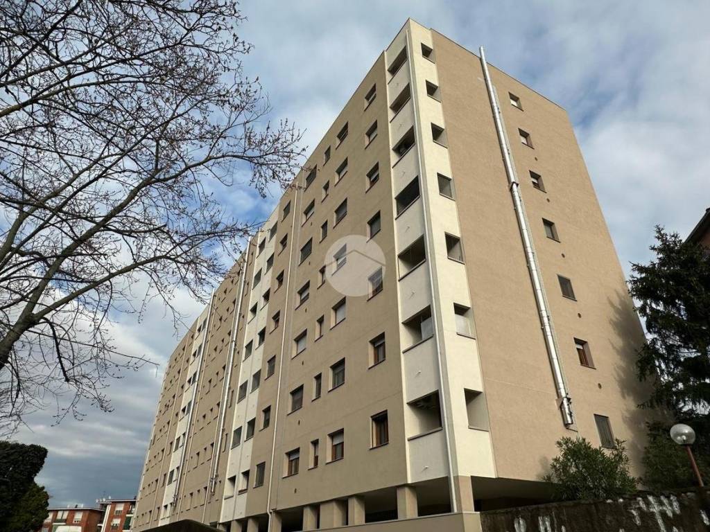 WhatsApp Image 2024-02-28 at 19.20.18 (2)